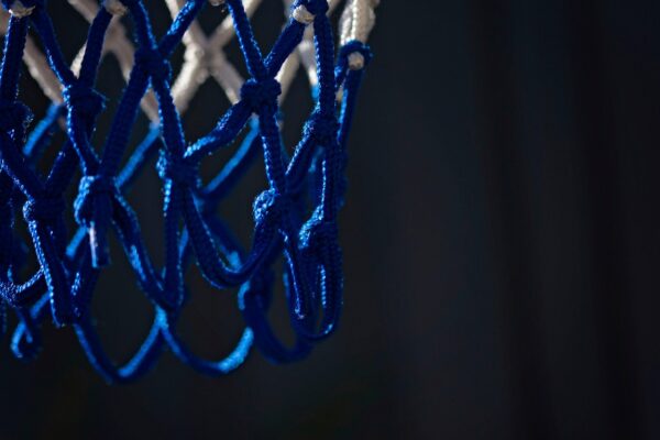 A Spotlight on the Top Slovenian NBA Players