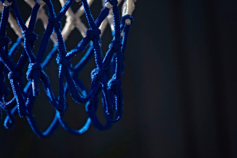 A Spotlight on the Top Slovenian NBA Players